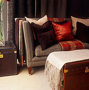 沙发,伦敦,客厅,红色,毛织品,格子图案,投掷,皮坐垫,创作,记事本,对比,小山羊皮,亚麻布,垫子,褐色,米色
