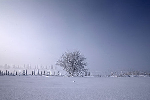 新疆伊犁赛里木湖果子沟冬日雪景