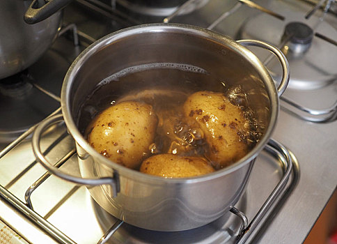 煮沸,土豆,炖锅