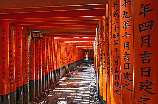 大门,伏见,稻成,神祠,京都,日本