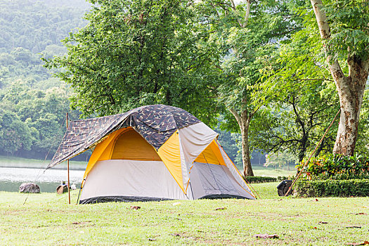 圆顶,帐篷,露营,树林