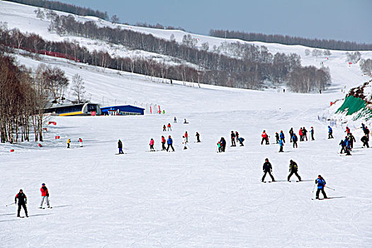 在滑雪场白色的雪道上滑雪的人