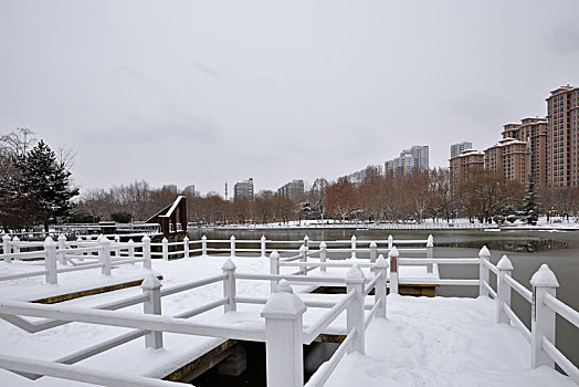 河北省石家庄市公园雪景