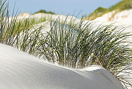 沙丘,海滩,靠近,石荷州,德国,欧洲