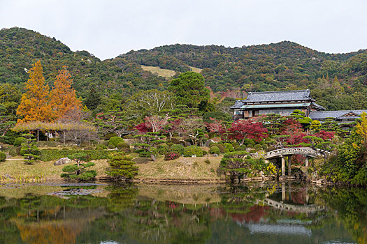 秋天,日本,漂亮,花园