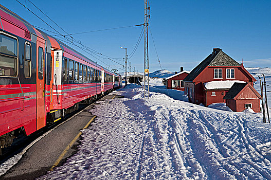 火车站,停止,红色,车站,建筑,卑尔根,奥斯陆,山,高原,积雪,山景,冬天,霍达兰,挪威