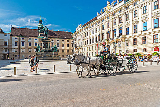 维也纳,奥地利,欧洲,传统,马,马车