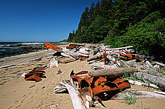 西海岸小径,生锈,船,残骸,碎片,海滩,不列颠哥伦比亚省,加拿大