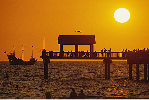剪影,码头,船,日落,佛罗里达,美国