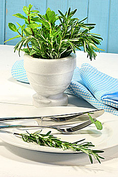 翠绿,药草,桌子,厨房