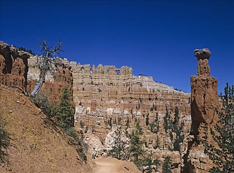 岩石构造,小路,边缘,峡谷,犹他,美国