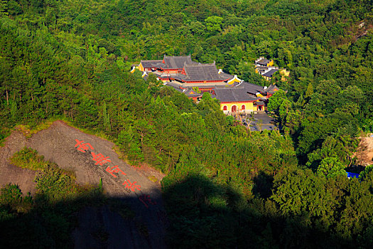 俯瞰,全景,山顶,树林,绿色,早晨,阳光