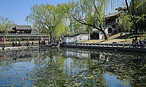 2016年3月27日北京西城区陶然亭公园