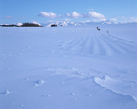 雪原,山脉