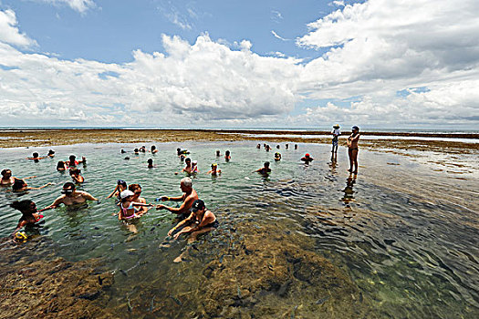 brazil,pernambuco,porto,de,galinhas,tourist,looking,for,fish,in,the,natural,pools