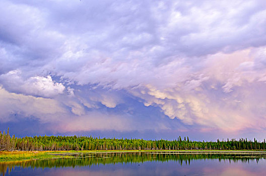 雷暴,北方针叶林,耶洛奈夫,加拿大西北地区,北方,加拿大