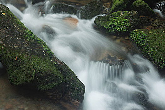 山谷,河流,石头