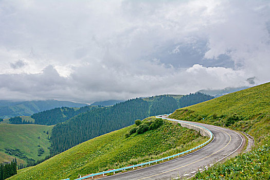 新疆伊犁草原山路