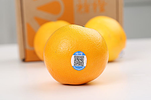 褚橙,橙,水果