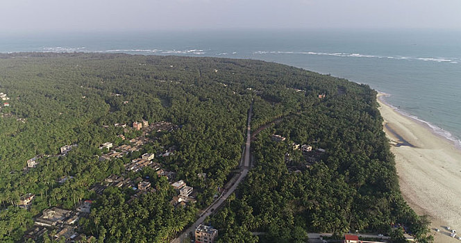 海南文昌,椰林湾,全球最美养生文化旅游胜地