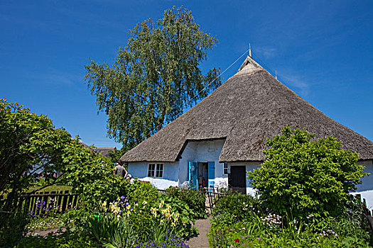 茅草屋顶,房子,花,别墅花园,梅克伦堡前波莫瑞州,德国,欧洲