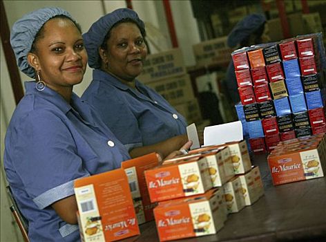 女人,包装,茶,工厂,毛里求斯,非洲