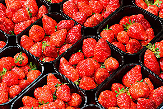 草莓,盒子,瑞典,欧洲