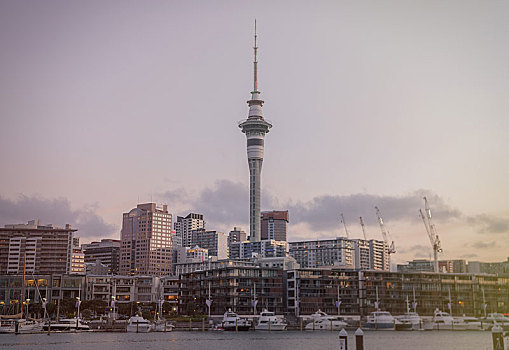 新西兰首都奥克兰代表地标天空塔