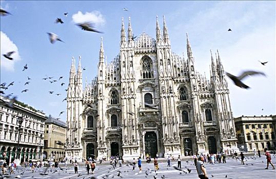 意大利,米兰,建筑,地点,鸽子