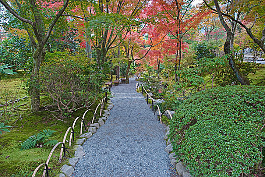 日本,京都,岚山,花园