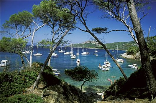 法国,里维埃拉,波克罗勒岛,海滩,帆船,蓝绿色海水