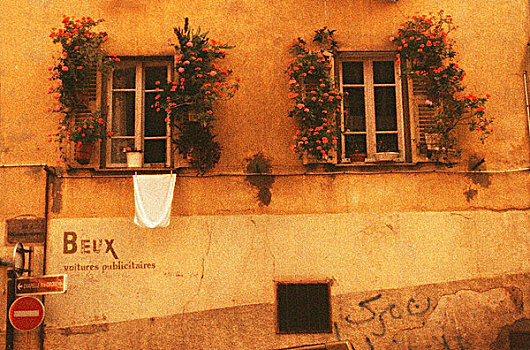 法国,尼斯,老城区,墙壁,窗户,特写,条纹状,温暖
