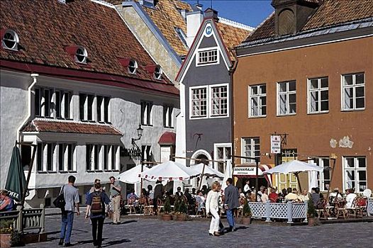 市政厅,游客,旧城,爱沙尼亚,欧洲,世界遗产,波罗的海国家,欧盟新成员