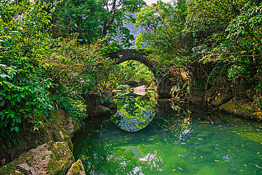 森林里小河上的古老石拱桥