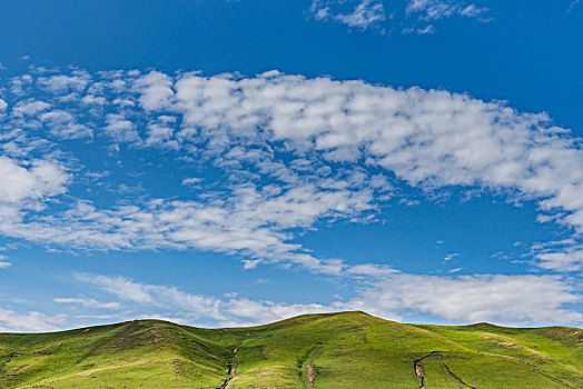 蓝天白云下的山坡草原公路