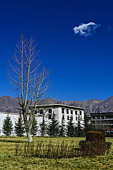 高原建筑