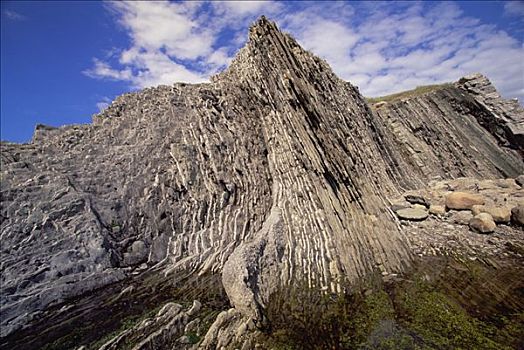 沉积岩,展示,石头,堆积,沿岸,高原,绿色,格罗莫讷国家公园,纽芬兰,加拿大