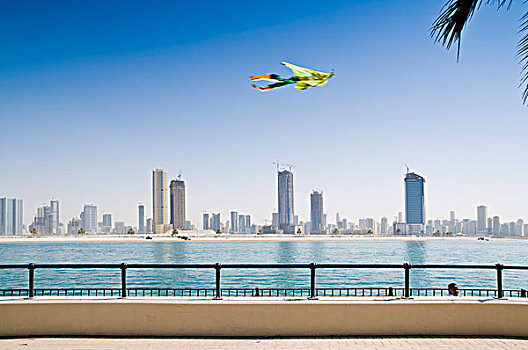 风筝,正面,地平线,迪拜,阿联酋,中东,亚洲