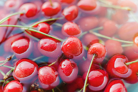 浸泡在水里的樱桃,健康水果图片
