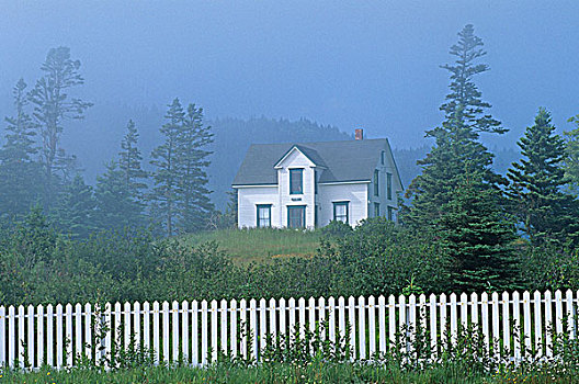 房子,雾,港口,新斯科舍省,加拿大
