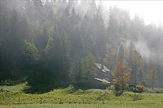 房子,谷仓,晨雾,抬起,太阳,山谷,靠近,施蒂里亚,奥地利