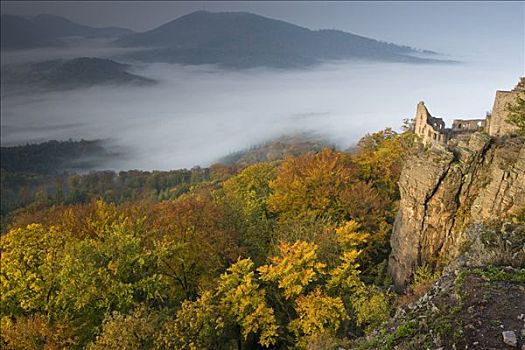 莱茵河,山谷,城堡,巴登巴登,德国