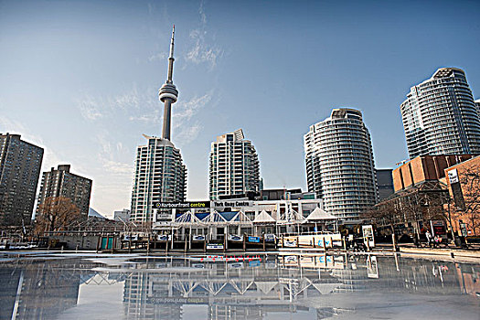 加拿大国家电视塔,港口,中心,码头,建筑,反射,冰,寒冷,白天,多伦多,安大略省,加拿大