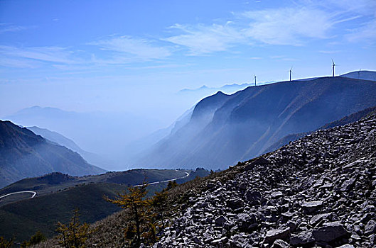 茶山