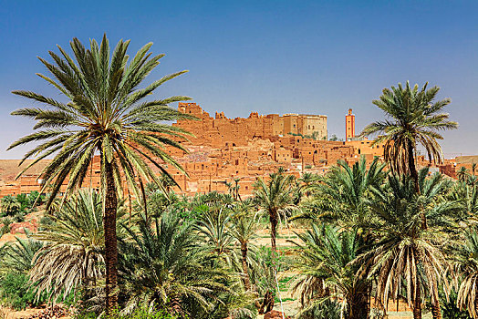 椰枣,正面,要塞,靠近,瓦尔扎扎特,摩洛哥,非洲