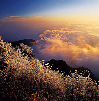 四川,峨眉山,金顶