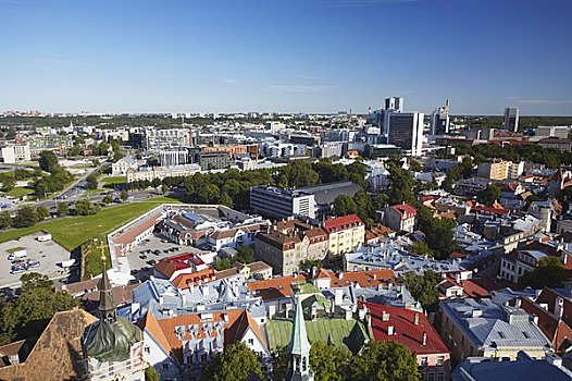 爱沙尼亚,塔林,城镇,商务区,背景