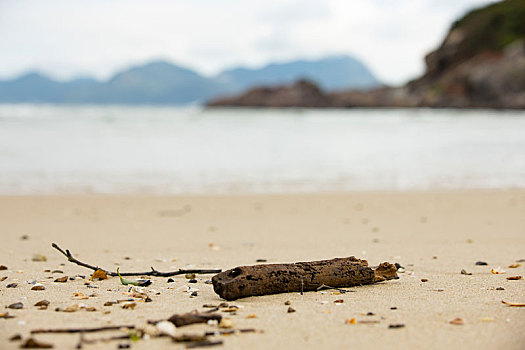 海滩杂物