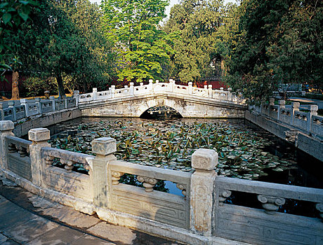 十方普觉寺放生池