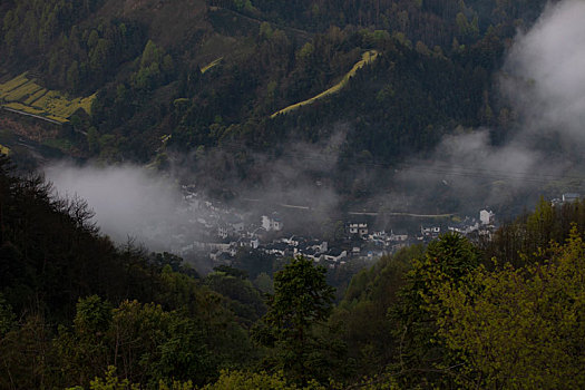 石潭,云海,安徽,山沟,油菜花,风光,壮观,气候,环境,仙境,诱惑,秀美,俯瞰,村庄